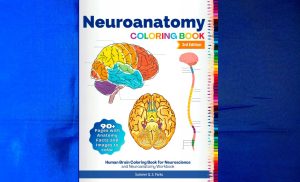 Cover of Neuroanatomy Coloring Book: Human Brain Coloring Book for Neuroscience and Neuroanatomy, 2021, by Summer Q. S. Parks